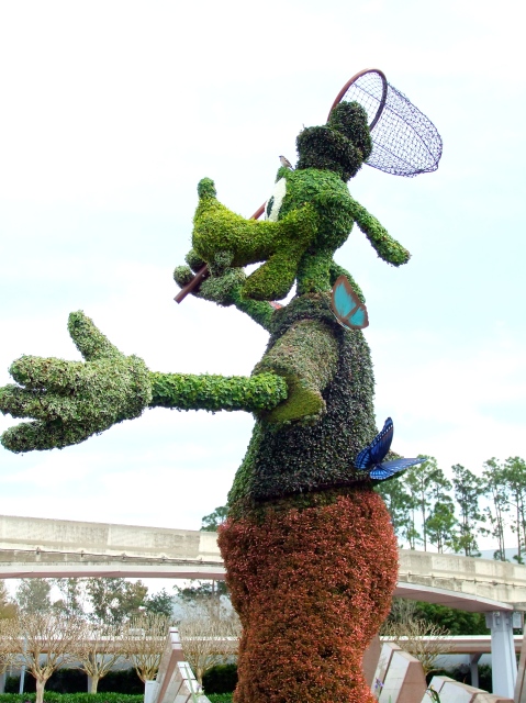 Goofy has his butterfly net out yet his quarry eludes him...